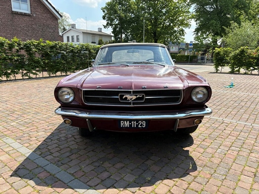1965 Ford Mustang oldtimer te koop
