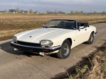 1992 Jaguar XJS cabriolet oldtimer te koop