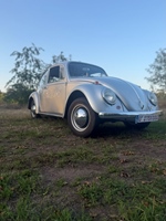 1965 Volkswagen Kever oldtimer te koop