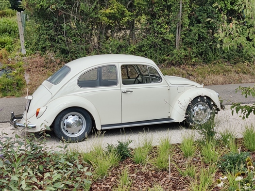 1968 Volkswagen Kever oldtimer te koop
