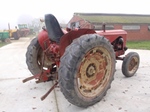 Massey-Harris 745 oldtimer tractor te koop