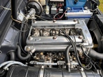 1970 Alfa Romeo Guilia 1600 Biscone oldtimer te koop