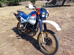 1988 Honda XL600LM oldtimer te koop