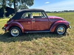 1972 Volkswagen kever cabrio 1302 oldtimer te koop