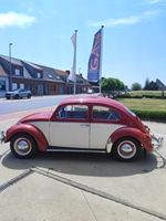1962 Volkswagen kever oldtimer te koop