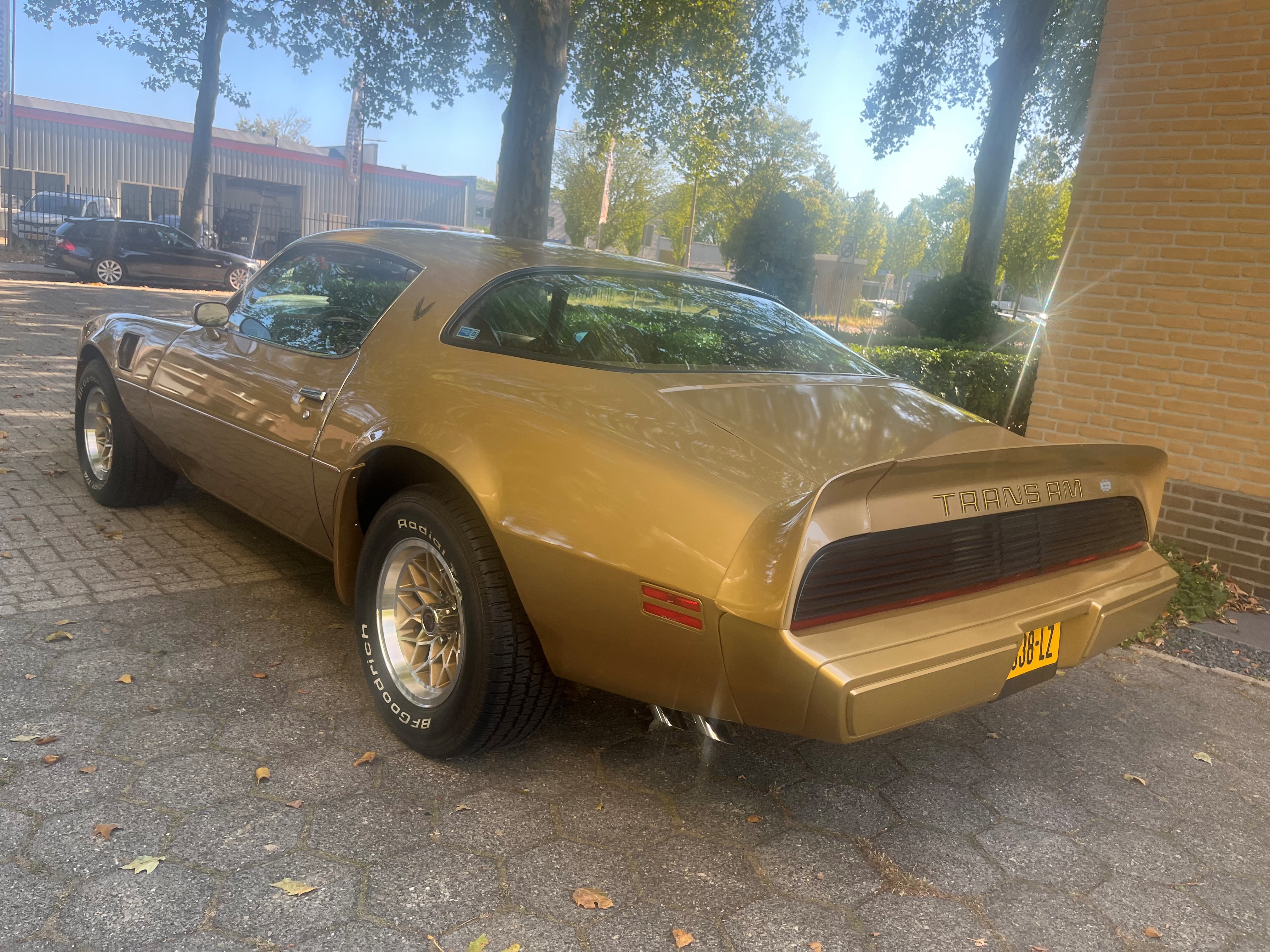 1979 Pontiac Trans Am 6.6 oldtimer te koop