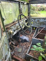1965 Dodge M37 oldtimer te koop