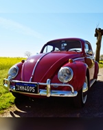 1969 Volkswagen Kever oldtimer te koop