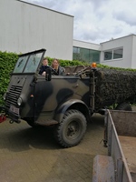 1954 Renault Goelette oldtimer vrachtwagen te koop
