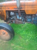 Fiat 415 oldtimer tractor te koop