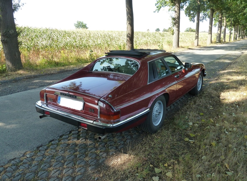 1988 Jaguar xj-s 3.6 oldtimer te koop