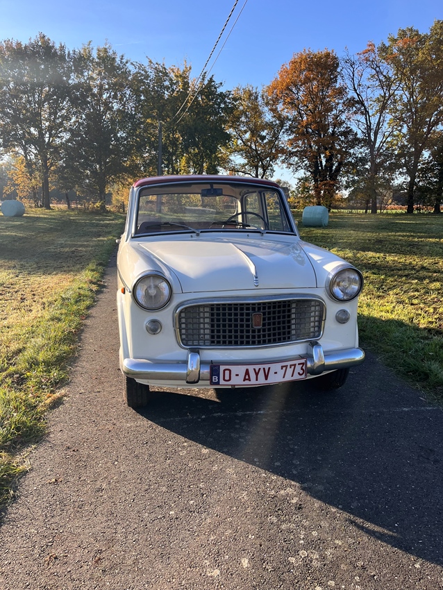 1961 Fiat 1100 speciaal oldtimer te koop
