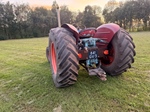1955 Fordson Major oldtimer tractor te koop
