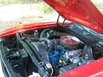1972 Ford Mustang oldtimer te koop